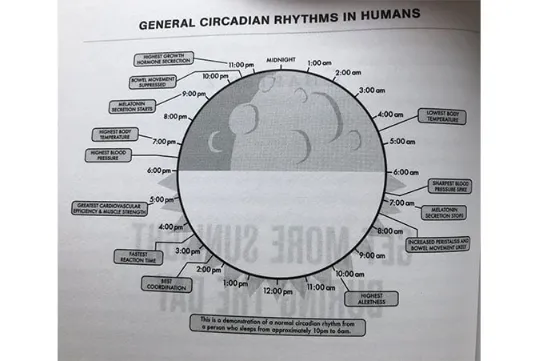 General circadian rhythms in humans